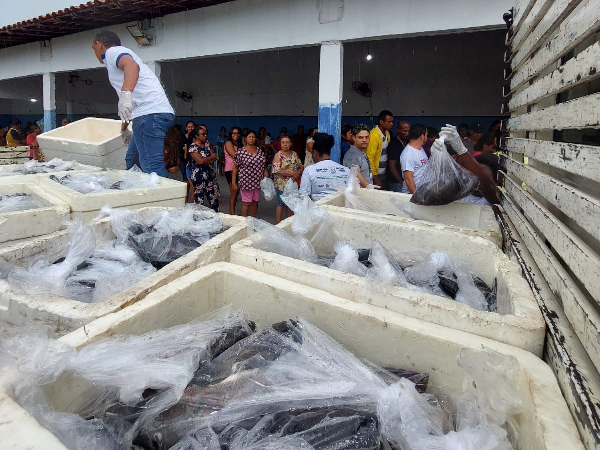 Prefeitura vai distribuir 8 toneladas de peixes em Paço do Lumiar.